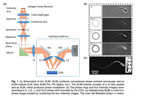 新建 BMP 图像.bmp 新建 BMP 图像.bmp