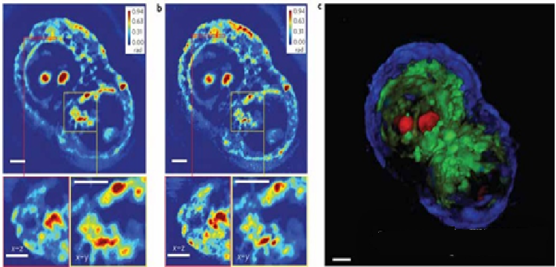 新建 BMP 图像 (2).bmp 新建 BMP 图像 (2).bmp